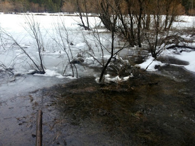 yosemite ice poem 