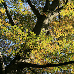 Parc de Méry-sur-Oise