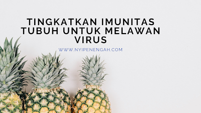 5 cara meningkatkan imunitas tubuh tingkatkan imunitas tubuh untuk melawan virus cara meningkatkan imunitas tubuh agar terhindar dari covid 19 pentingnya menjaga imunitas tubuh saat pandemi