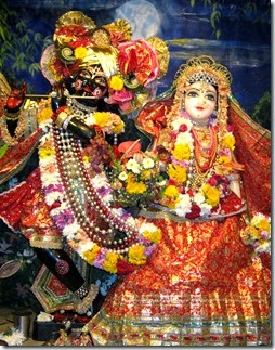 [Radha-Krishna deities]