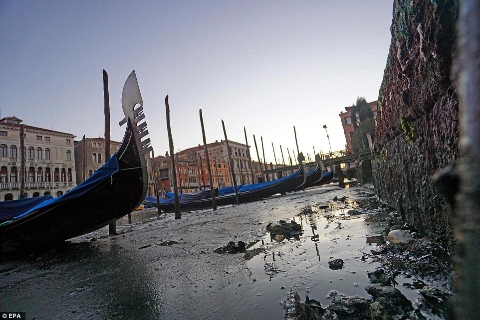 venice-low-tide-8