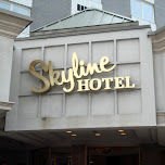 skyline hotel in New York City, United States 