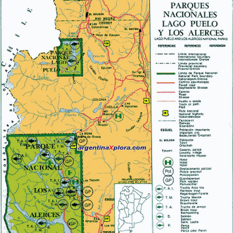 The Los Alerces National Park boasts lovely and simultaneously protects forests of ancient larches.