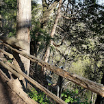 dundas peak in Dundas, Canada 