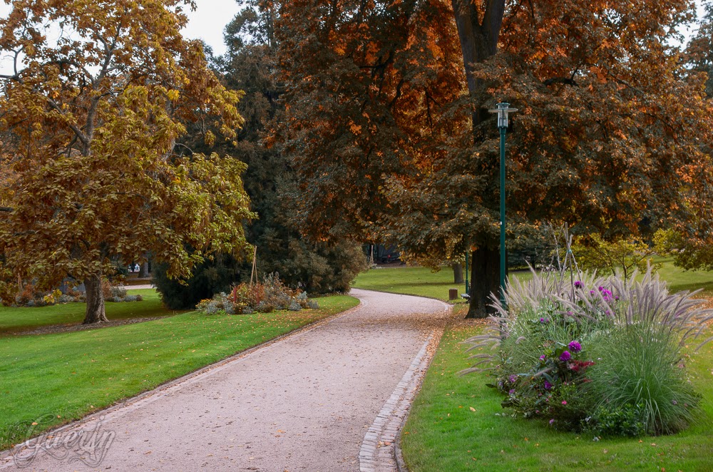 Lumixday 2013 NANCY - les photos - Page 6 SEBY6584-Modifier