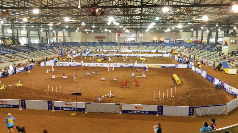 USDAA Trials - Main Arena