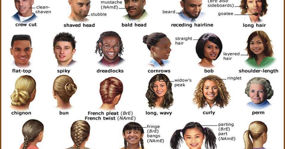 English is fun!: Hair Vocabulary