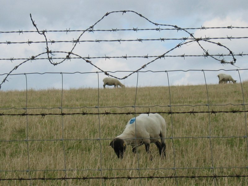 through wires