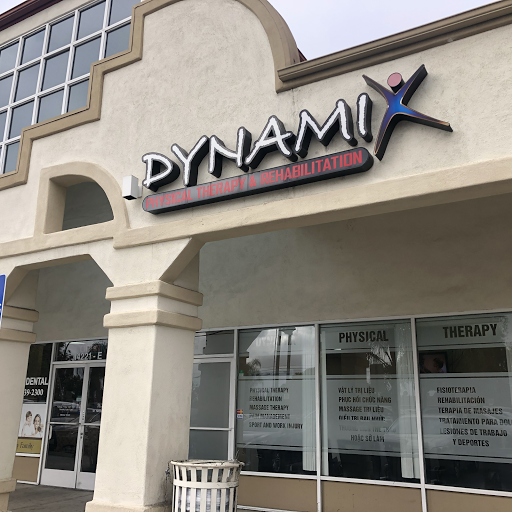 Dynamix Physical Therapy logo