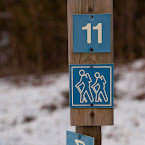 Signs in the nature. 05022012-0001.jpg