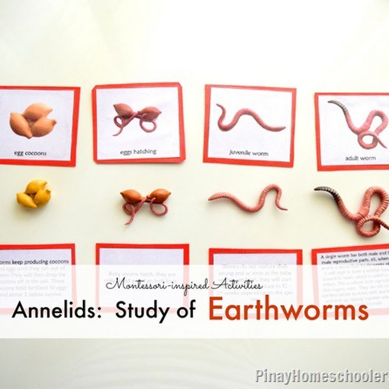 The Annelids: Earthworms and {Learn & Play Link Up} | The Pinay ...