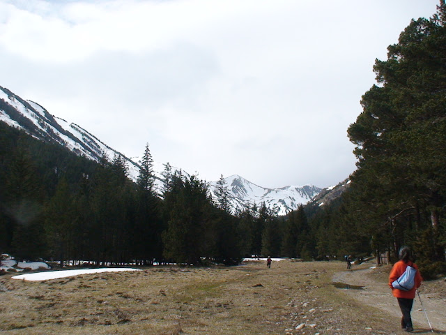 Camino hacia las montañas...otro día será