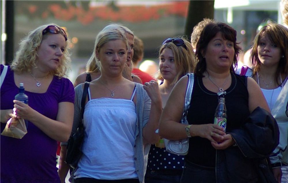 Судовой журнал подданного Королевы фьордов