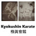 Kyokushin Karate 極眞會館 (video)