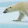 Polar Bear Wallpapers HD Theme