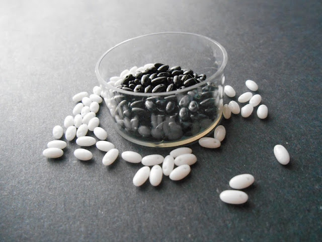 Black and White Rizo Seed Beads