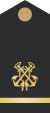 파일:external/upload.wikimedia.org/50px-IE_Navy_Rank_Insignia-WO-Executive.svg.png