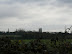 Water tower at Pettistree