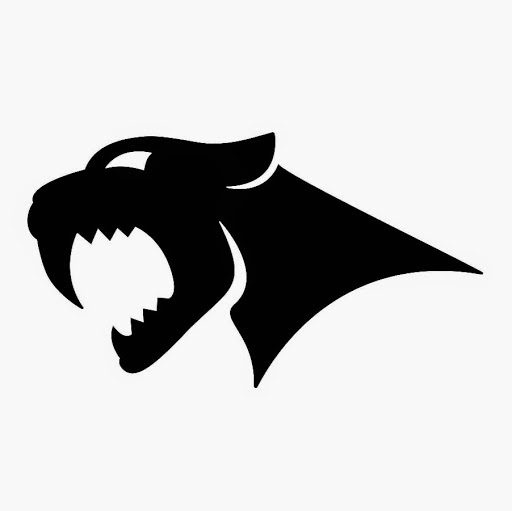 Sabertooth Community Fitness logo