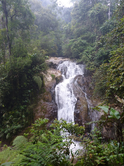 Blog de voyage-en-famille : Voyages en famille, Cameron Highlands, au pays du thé