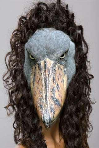 Animal Face Sticker Photo 1.3 screenshots 2