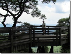 Roy Taylor Forest Pedestrian Overlook BRP