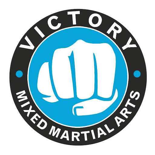 Victory Martial Arts- Naperville logo