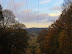 Panoramas from the woods