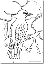 aves colorear (11)