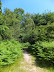 Footpath out of Bacton Woods