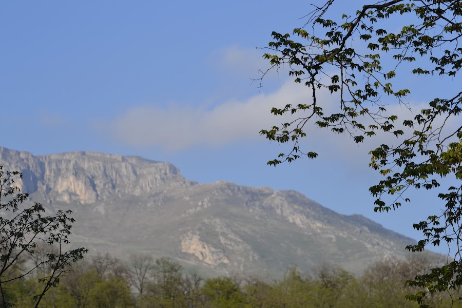 Армения: сокровища нации
