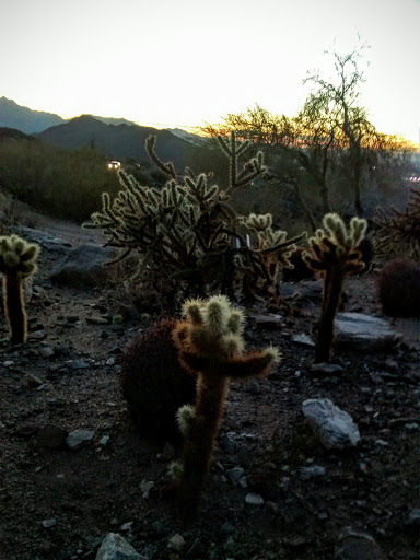 Tourist Attraction «Dobbins Lookout at South Mountain», reviews and photos, 10919 south cental avenue, Phoenix, AZ 85042, USA