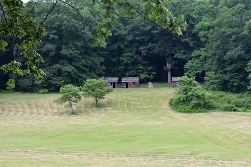 DSC_8633 DSC_8633