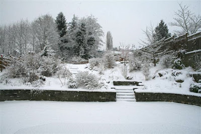 Snowy garden