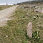 Old Mile stone from when this was a public road (96463)