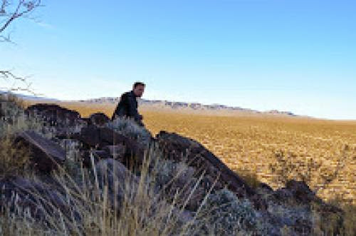 Ivanpah Tortoise Count Highlights Poor Choices