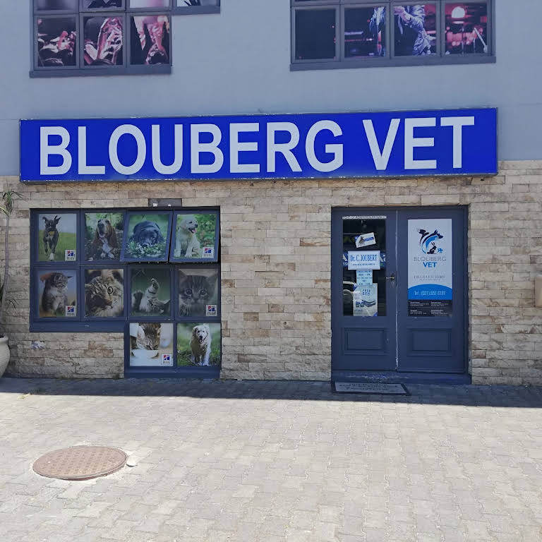 blouberg