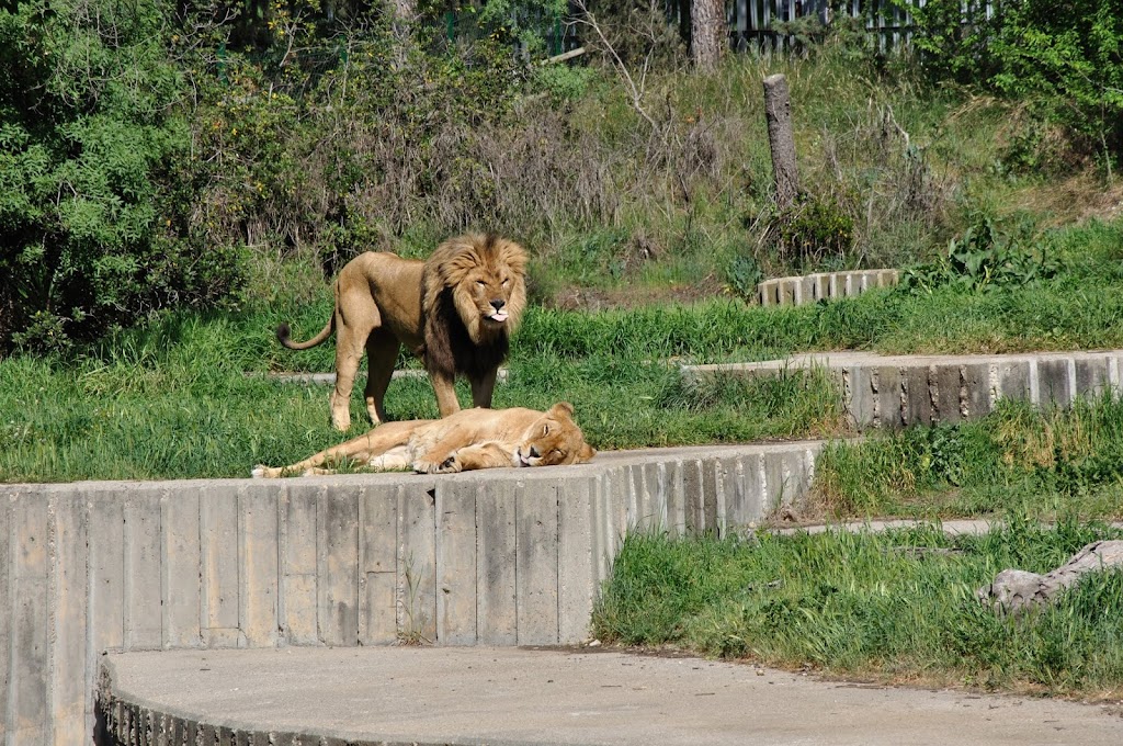 Фотографии животного мира
