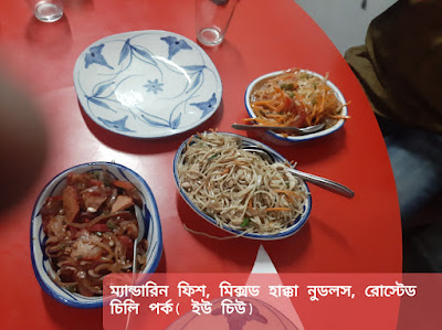 Mandarin Fish, Mixed hakka noodles, roasted chili pork, kolkata foodie, kolkata street food, bengali food blog