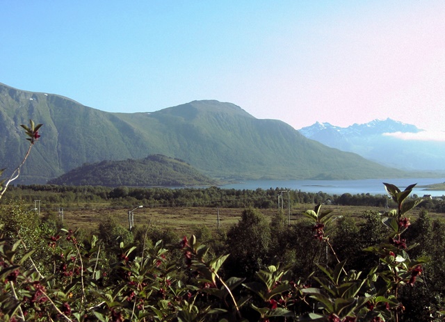 Parque Abisko (Suecia). Narvik. Stokmarknes (Islas Vesteralen). - Noruega II. De Rovaniemi a Cabo Norte. Al norte del Círculo Polar Ártico. (18)