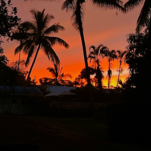 Aloha Boutique Hotel in Hawi logo