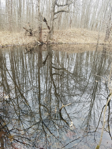 Nature Preserve «Beanblossom Bottoms Nature Preserve - Sycamore Land Trust», reviews and photos, N Woodall Rd, Ellettsville, IN 47429, USA