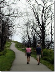 Paved walkway to Wayah Bald Observation Tower