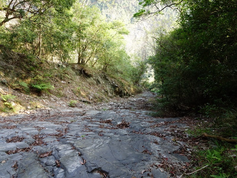 2014_0101-0105 萬山神石、萬山岩雕順訪萬頭蘭山_0149