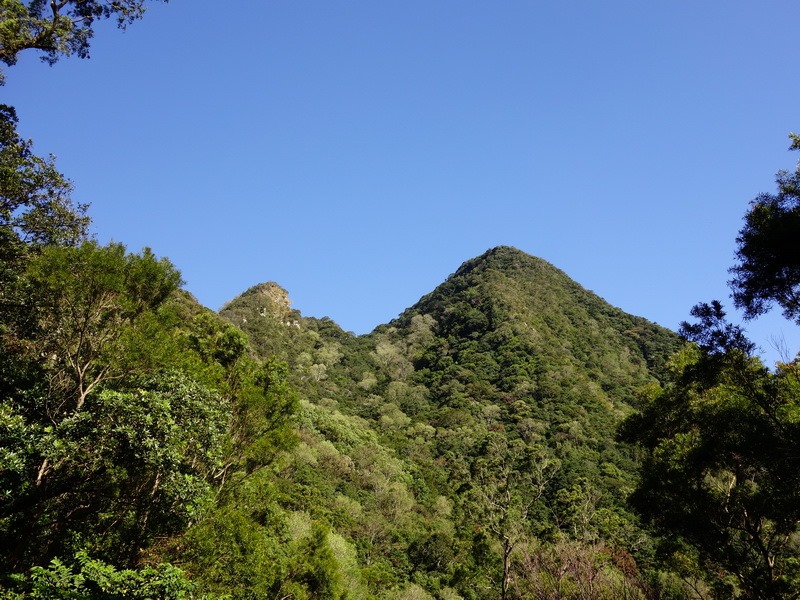 2013_1207 東滿步道→拉卡山→北插天山水源地_030