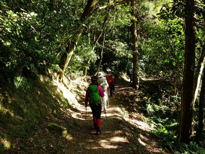 2013_1207 東滿步道→拉卡山→北插天山水源地_046