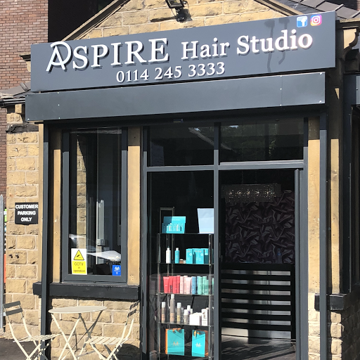 Aspire Hair Studio logo