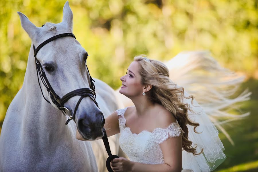 Fotografo di matrimoni Pavel Omelchenko (omelchenko). Foto del 29 ottobre 2015