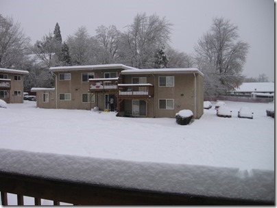 IMG_4840 Snow in Milwaukie, Oregon on December 22, 2008