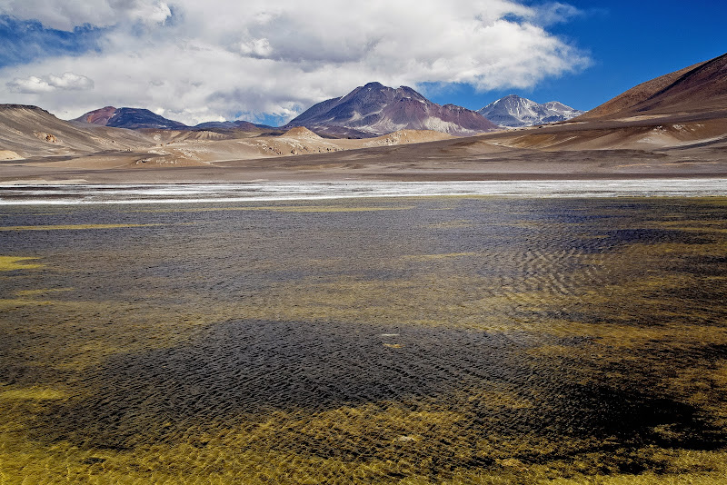 III REGION ATACAMA: COPIAPÓ / RUTA DE LOS SEISMILES - CHILE Y BOLIVIA POR CARRETERA: DE SANTIAGO AL SALAR DE UYUNI (38)